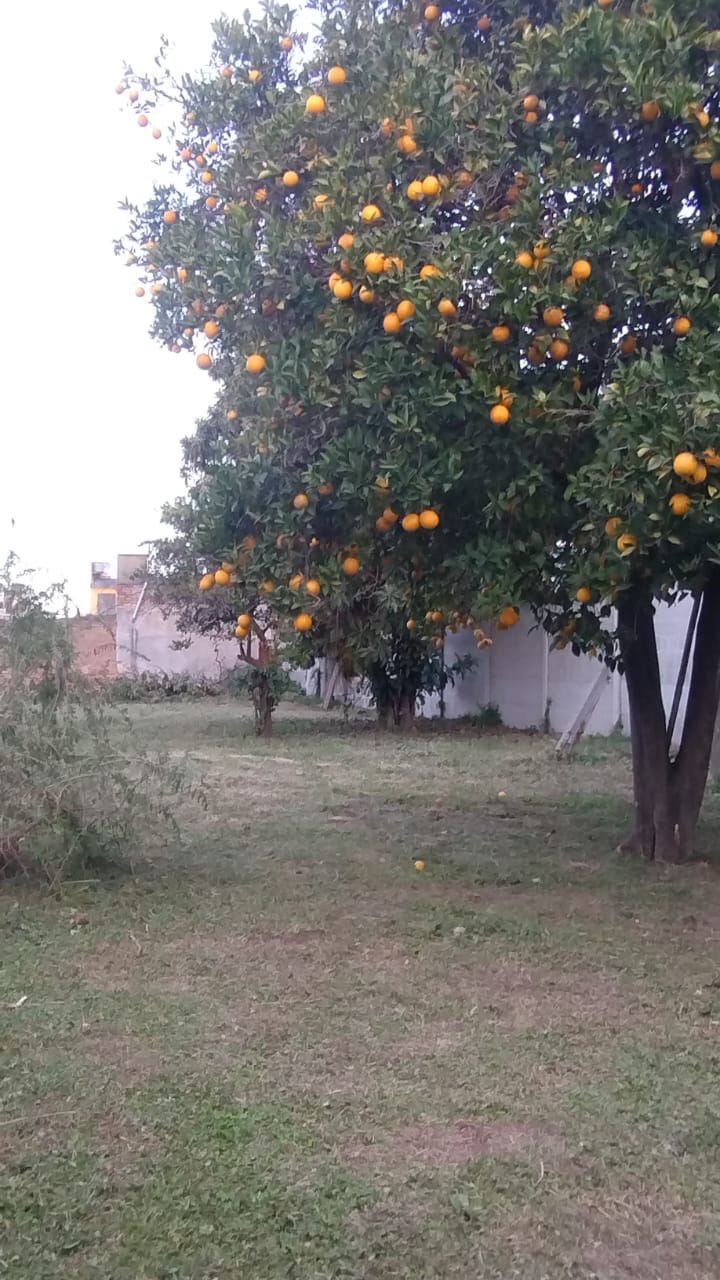 Belgrano 1367