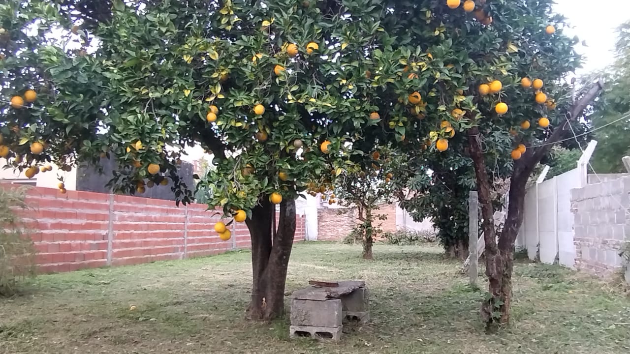 Belgrano 1367