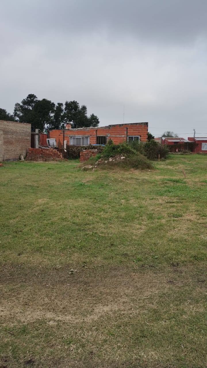 Avellaneda entre Leiva y Segui