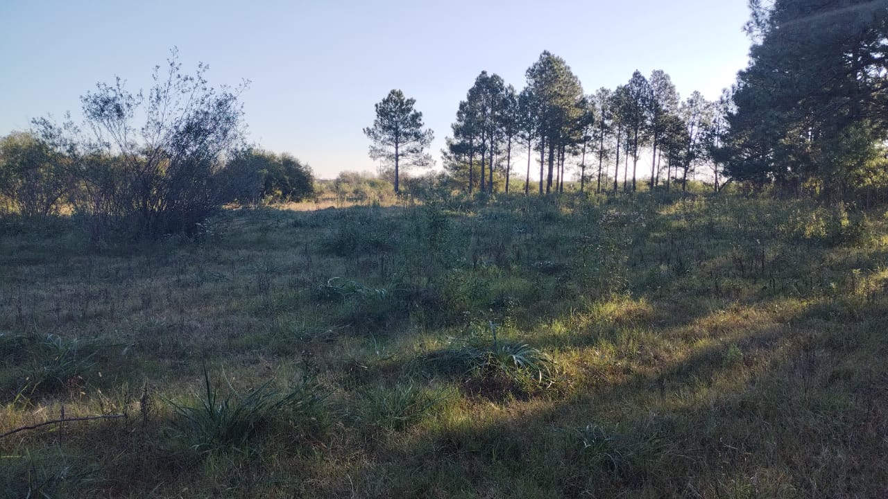 Ruta 11 - KM 436