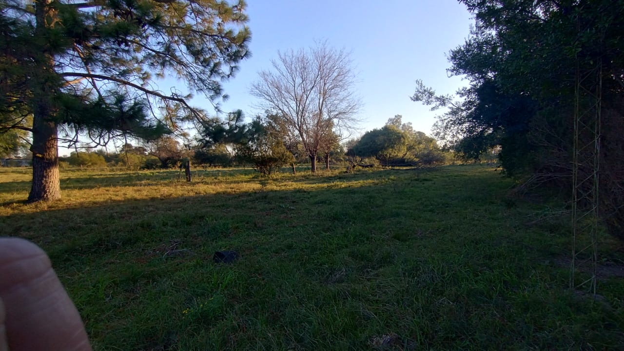 Ruta 11 - KM 436