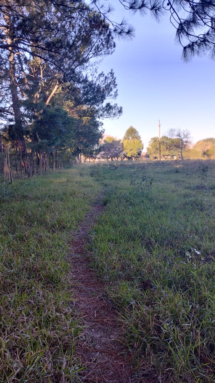 Ruta 11 - KM 436