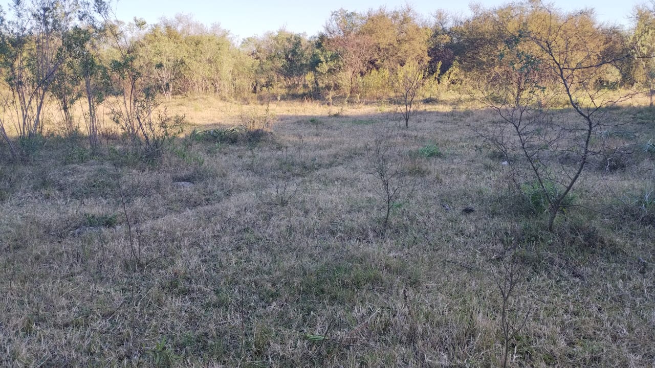 Ruta 11 - KM 436