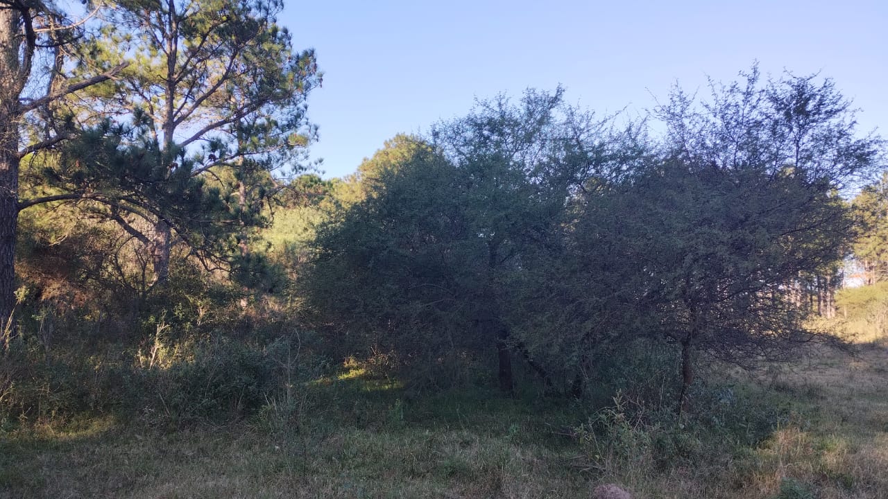 Ruta 11 - KM 436