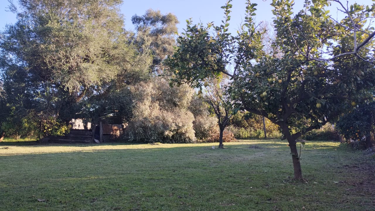 San Jerónimo 846
