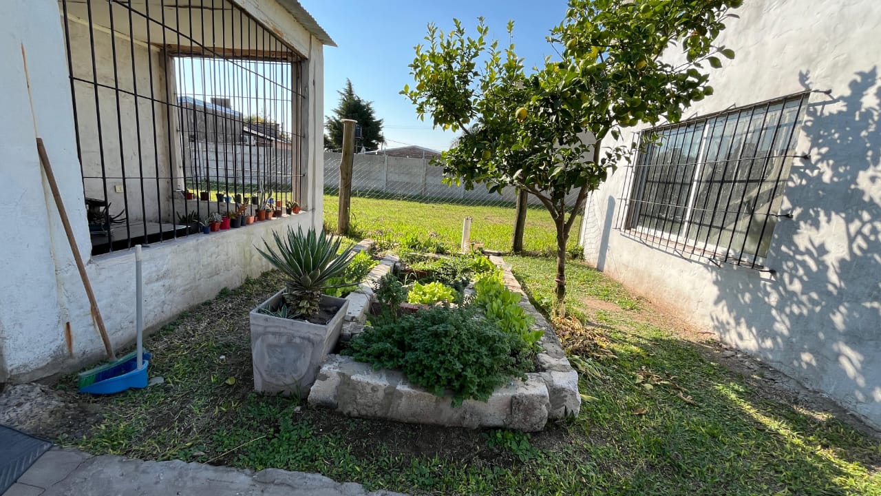 Bº Los Paraísos -  Calle Los Lapachos