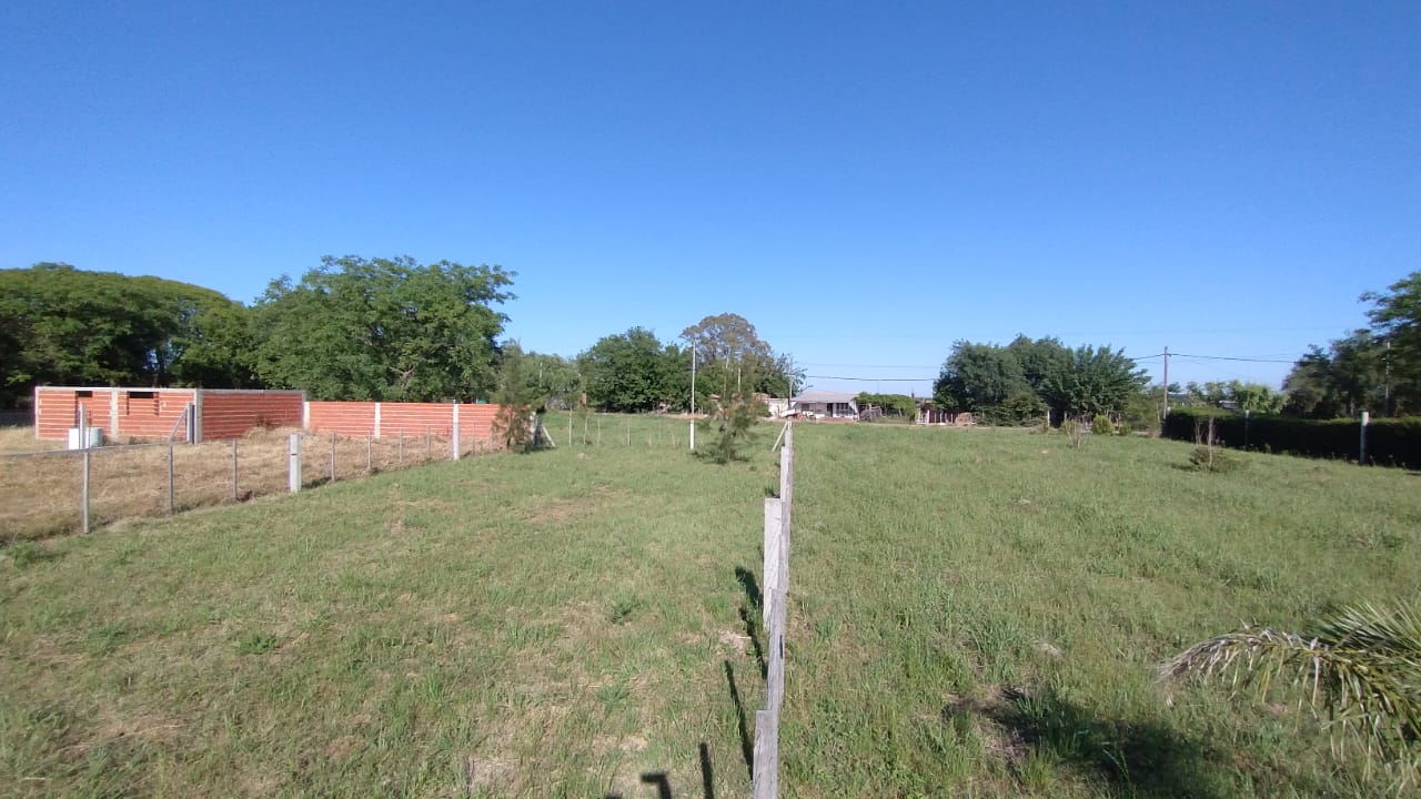 Bº Los Paraísos - Calle Los Jacarandaés entre Los Alamos y Los Olmos