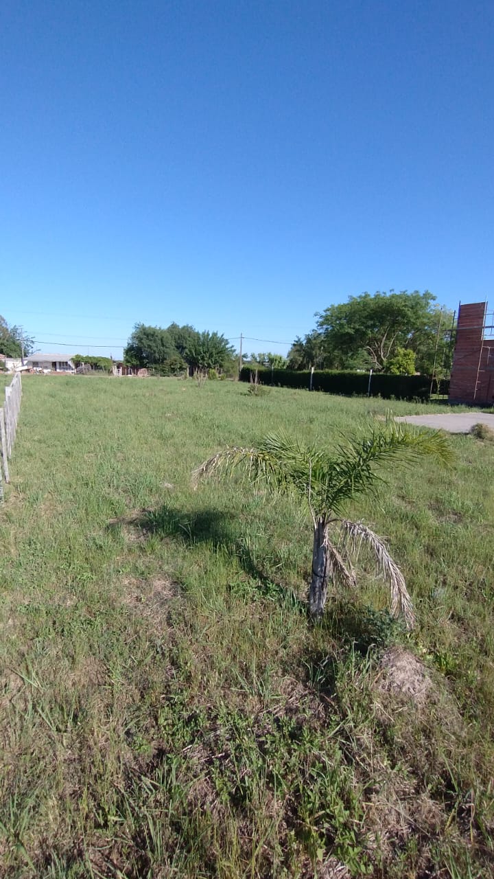 Bº Los Paraísos - Calle Los Jacarandaés entre Los Alamos y Los Olmos