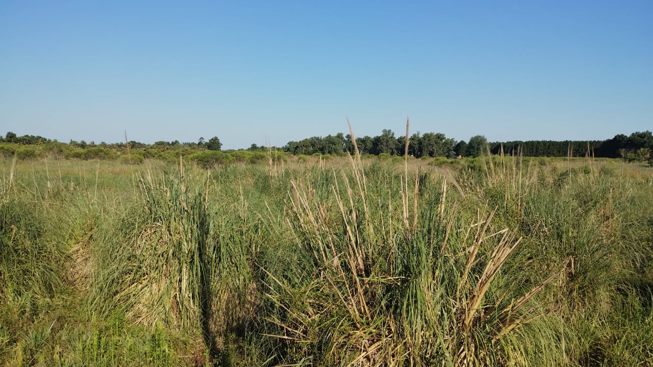 Av. 9 de Julio es paralela a Ruta 11  
