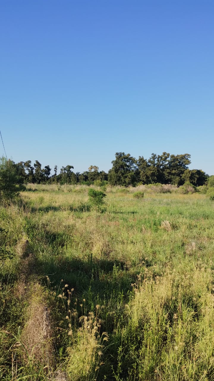 Av. 9 de Julio es paralela a Ruta 11  