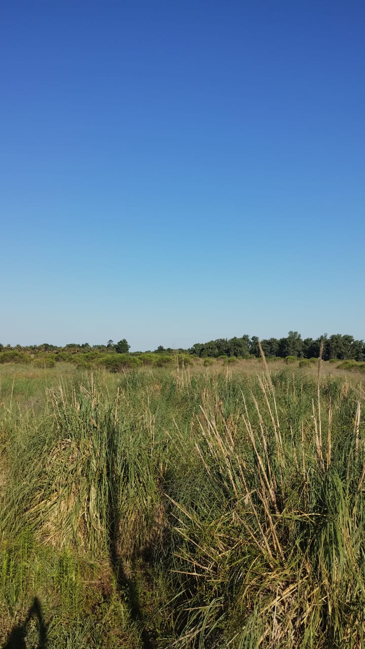 Av. 9 de Julio es paralela a Ruta 11  