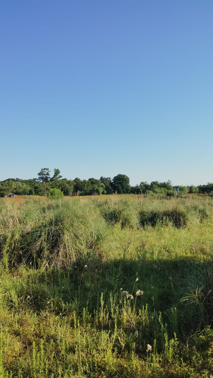 Av. 9 de Julio es paralela a Ruta 11  