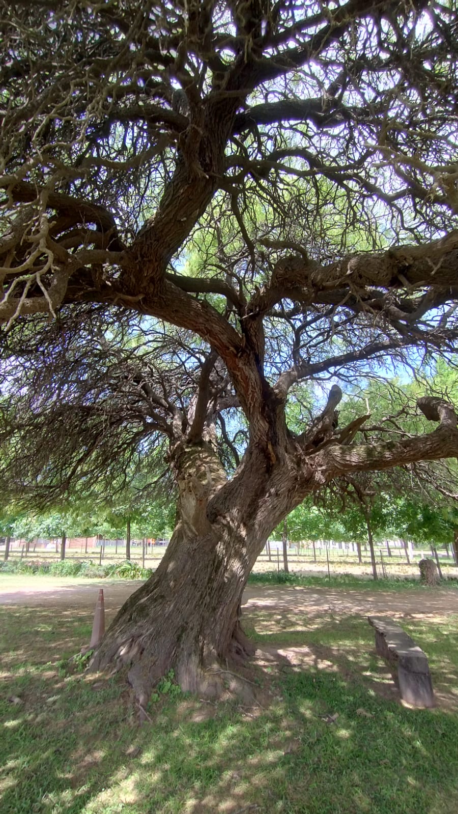 Barrio Los Paraísos