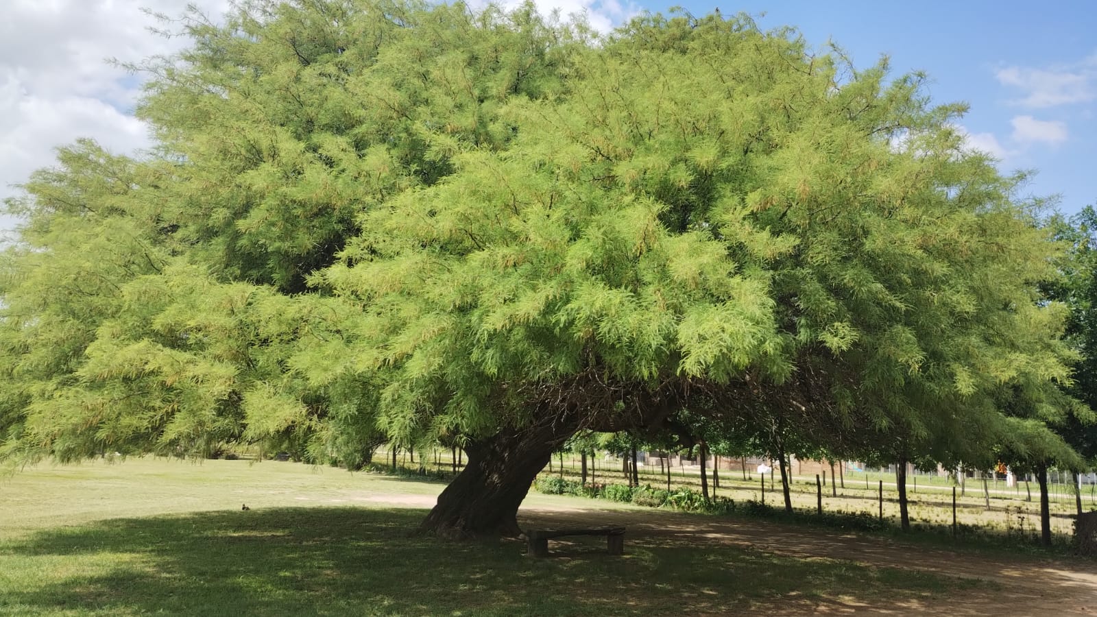 Barrio Los Paraísos