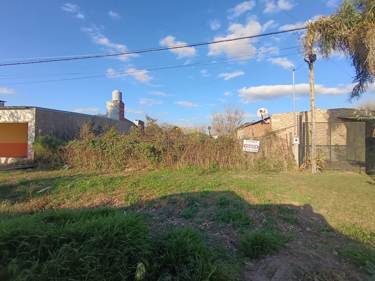 Los Lapachos entre Los Alamos y Los Olmos