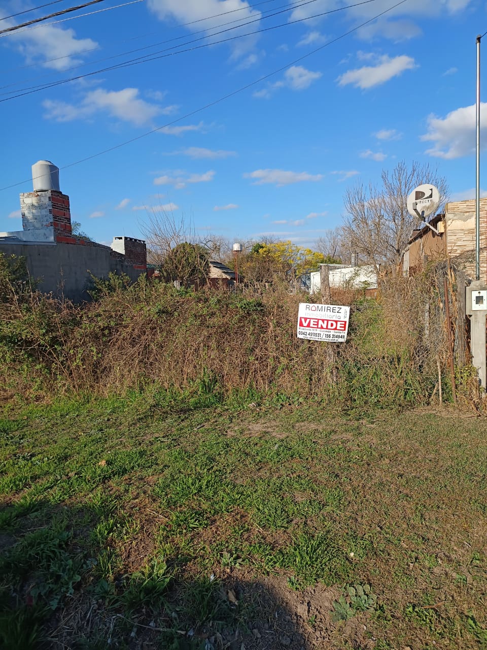 Los Lapachos entre Los Alamos y Los Olmos