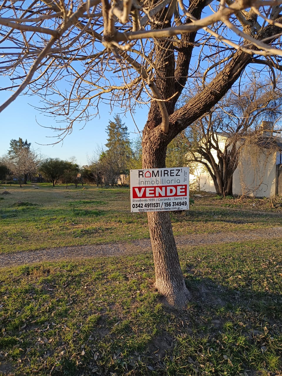 Av. Triana entre Santa Cruz y Chubut