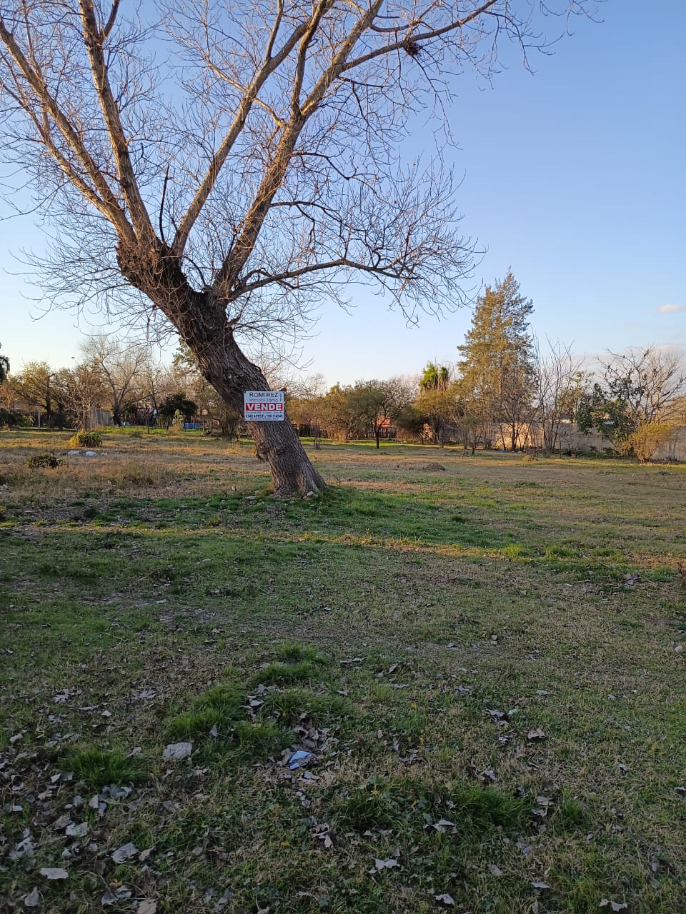 Av. Triana entre Santa Cruz y Chubut