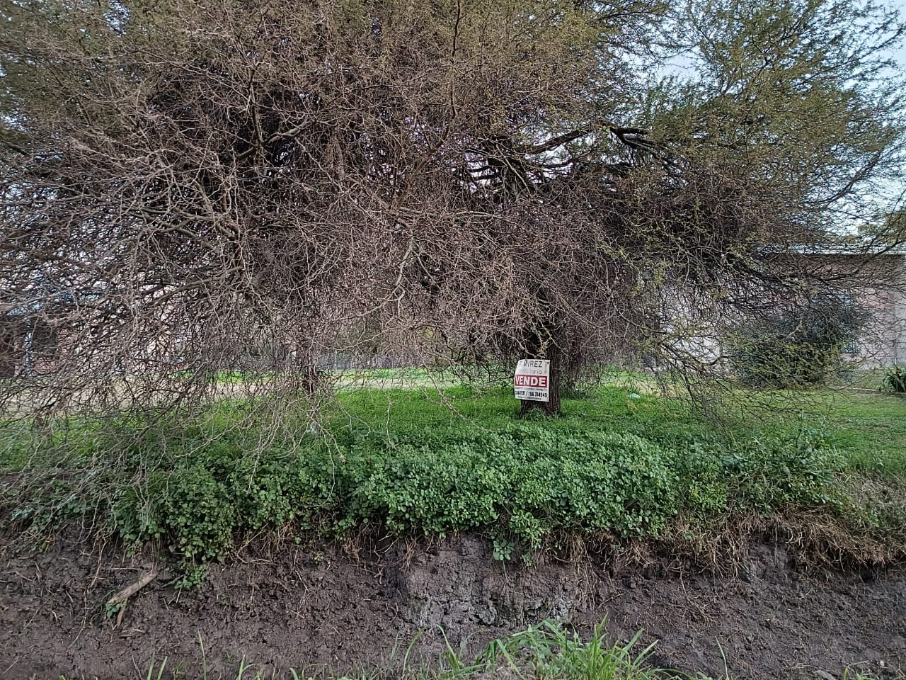 Av. Triana entre Chubut y Río Negro