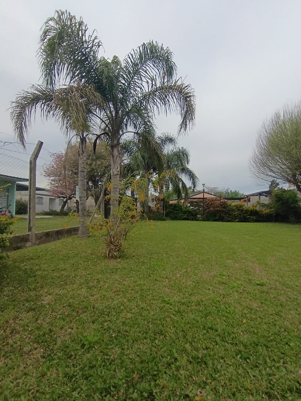 Calle pública (Barrio Basualdo)