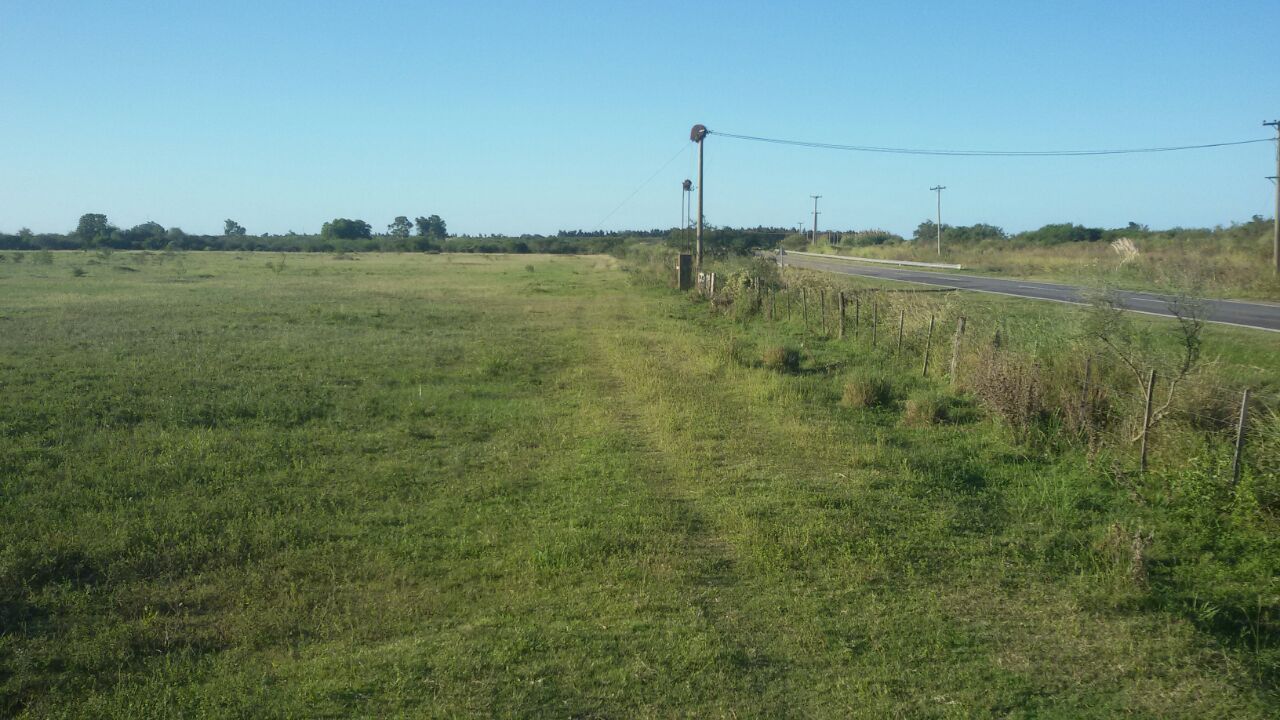 ruta 11 - km 416