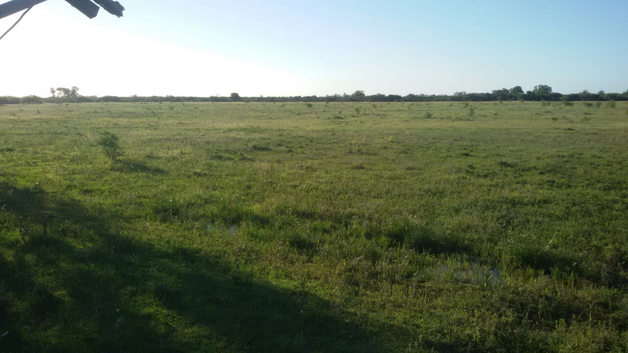 ruta 11 - km 416
