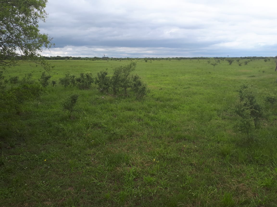 ruta 11 - km 416