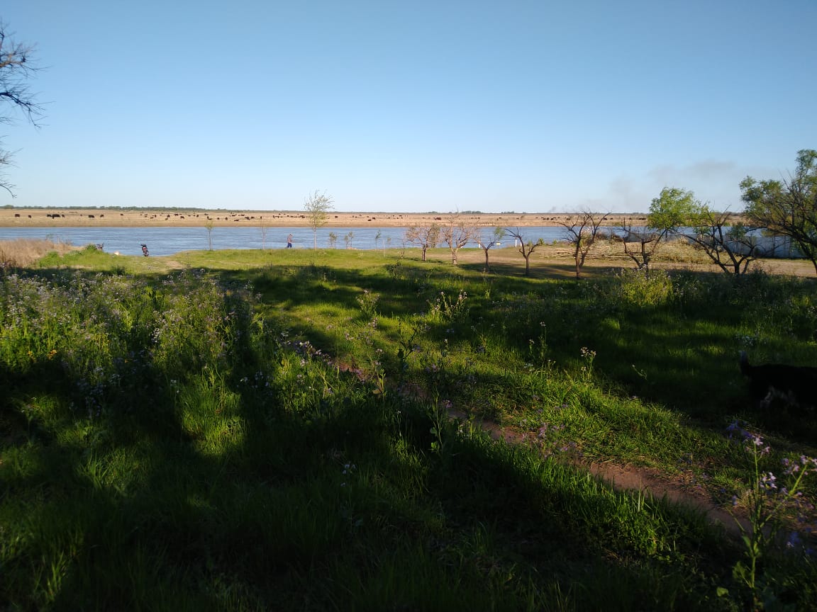 RUTA 11